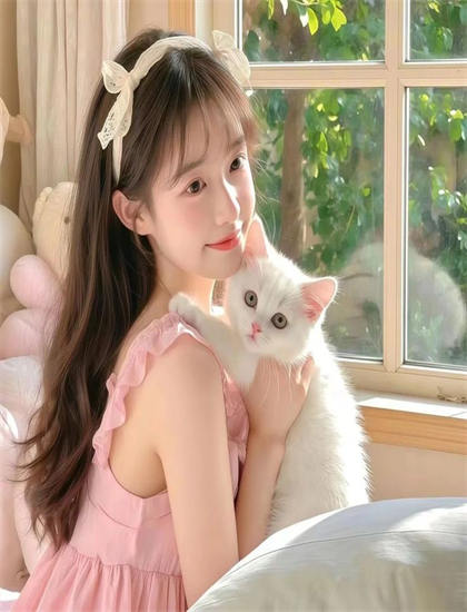 《高品质生活》的艺术开创性的：美学价值与创作技巧探讨，免费观看